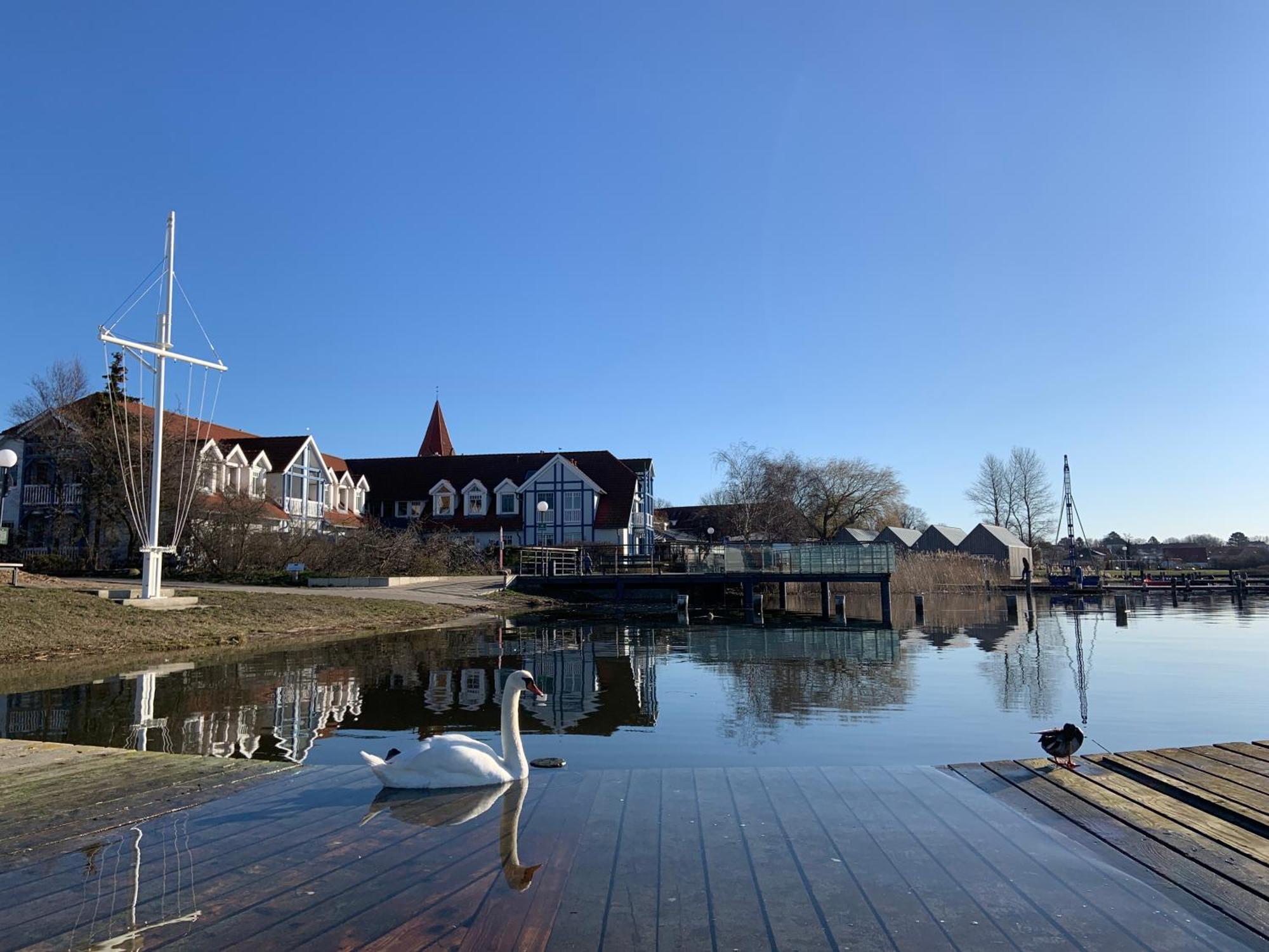Fewo 27 Strandnahe Ferienwohnung Marlyn Рерик Экстерьер фото